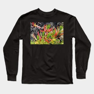 Ice plant, Carpobrotus, Algarve, Portugal Long Sleeve T-Shirt